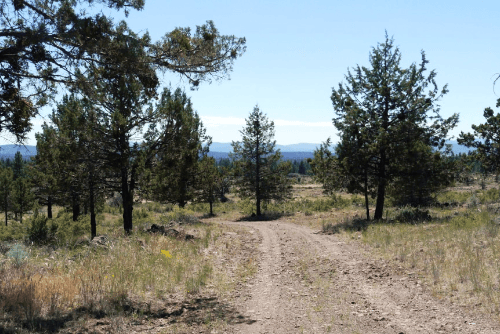 Aerial view of Oregon Klamath County forest estate lot 63 in Klamath Forest Estates, showcasing wooded land and surrounding area.