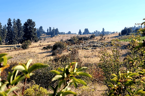 Oregon, Klamath  County, 0.54 Acres Oregon Shores Lot 9 Block 19 Unit 2, Electricity. TERMS $374/Month