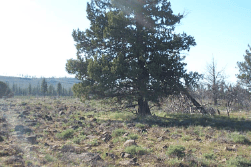 Aerial view of Oregon Klamath County 10.59-acre Lot 2 in Beatty Township, showing surrounding land and terrain.