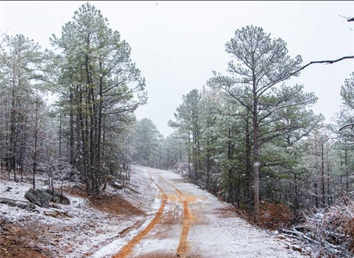 Oklahoma, Latimer  County, 8.72 Acre Stone Bridge IV, Lot 293 TERMS $224/Month