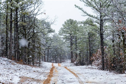 Oklahoma, Latimer  County, 9.47 Acre Stone Bridge IV, Lot 298 TERMS $289/Month