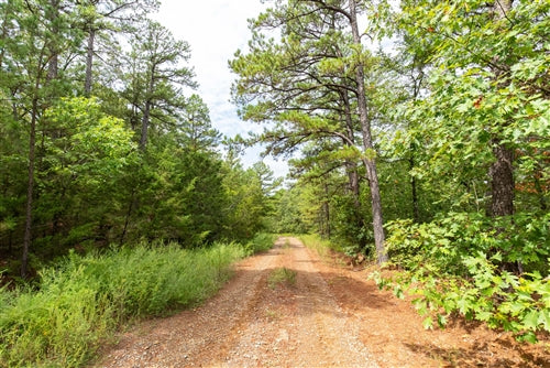 Oklahoma, Latimer  County, 15.08 Acre Stone Bridge V, Lot 329 TERMS $364/Month
