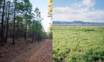 Oklahoma, Latimer County, 19.70 Acre Stone Bridge II, Lot 100, BUNDLED (GARDEN VALLEY RANCHOS LOT 2083) TERMS $637/Month