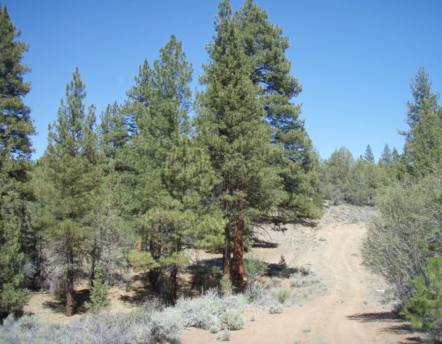 Aerial view of Oregon Klamath County 1.53-acre Sprague River Valley lot 13 in block 24, showing land and surrounding landscape.