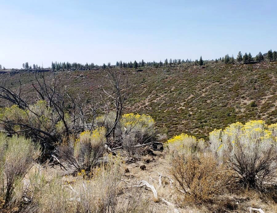 Aerial view of Oregon Pines Portion of Lot 55 in Klamath County, Oregon, showing forested acreage and surrounding landscape.