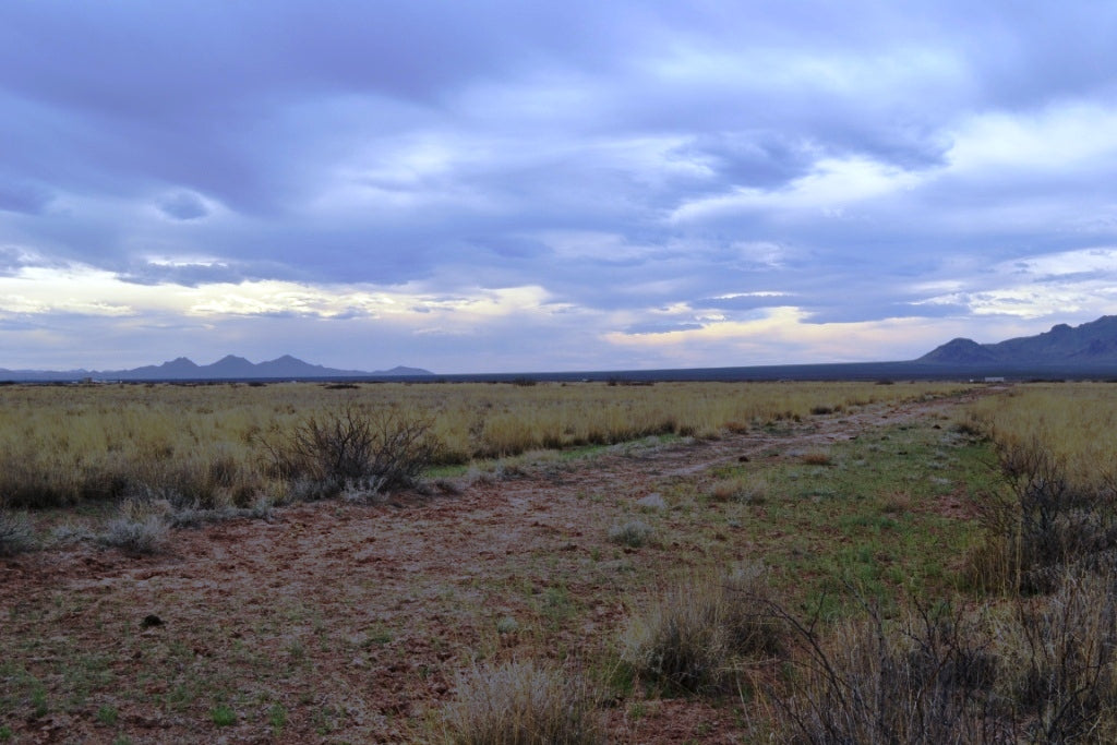 New Mexico, Luna County,  Sunshine Valley Ranchettes, .50 Acre Lot 36 Unit 17 Block 23. TERMS $25/Month