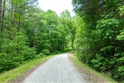 Tennessee, Perry County, 5.03 Acre Cedar Creek, Lot 52, STREAM. TERMS $466/Month