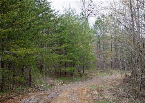 Secluded 6.38-acre Tennessee lot in Sequatchie County with stream, part of Hidden Hills, Lot 13, by TN_Sequatchie_HiddenHills913.