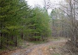 Aerial view of Tennessee Sequatchie County's 7.79-acre Hidden Hills Lot 44, showcasing wooded land and open spaces.