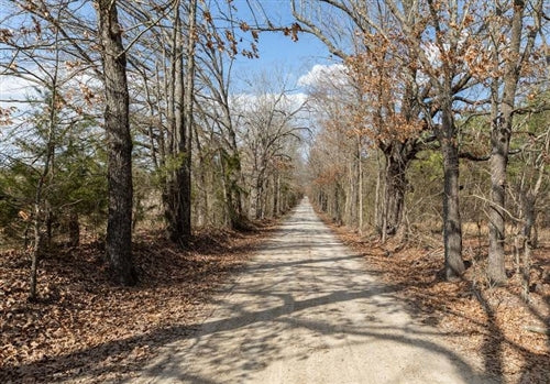 Texas, Red River County, 5.58 Acre Wishing Star Ranch, Lot 82 Pond, Electricity. TERMS $733/Month