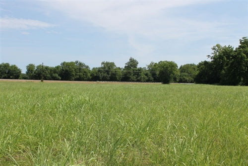 Texas, Red River County, 8.96 Acre McCoy Creek. TERMS $405/Month