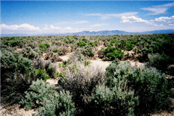 Aerial view of Utah Iron County Beryl Townsite lots 393 and 408, showing two adjoining 4.34-acre land parcels with natural terrain.