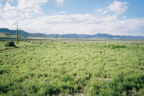 Empty 1.10-acre lot in Garden Valley Ranchos, Iron County, Utah, with clear land and surrounding natural landscape.