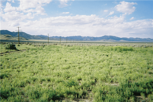 Utah, Iron County, 2.07 Acres Garden Valley Ranchos Lot 810. TERMS $0 Down $85/Month
