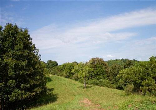 Aerial view of West Virginia Roane County Heritage Hollow Lot 21, a 4.86-acre rural land parcel with trees and open space.