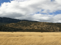 Arizona Mohave County 2.07-acre Yucca Valley Rancheros land, showing dry desert terrain and sparse vegetation.