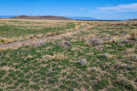 Colorado, Condado de Conejos, 30 acres al este de Manassa. CONDICIONES: $547/mes 