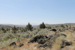 California Lassen County Ravendale Ranch 40-acre land parcel, showing open terrain and natural landscape in Lassen County.