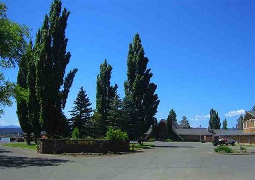 Aerial view of California Pines in Modoc County, California, showing a 0.92-acre wooded land parcel with pine trees.