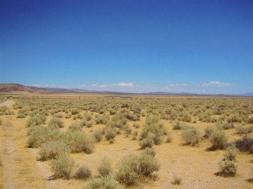 Aerial view of 5-acre land parcel in San Bernardino County, California, offered by Onlinelandsales, with natural desert landscape and open space.