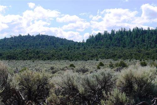 Aerial view of 36.70-acre Wild Horse Mesa Lot 75 in Colorado's Costilla County, showing open land and surrounding mountains.