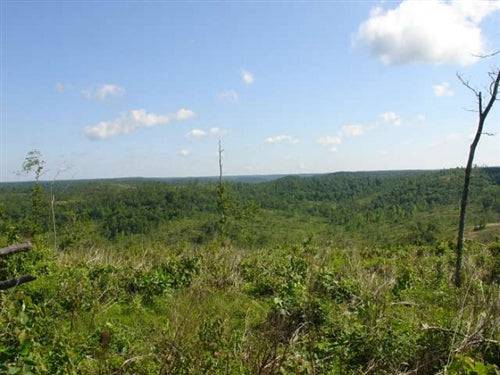 30.01-acre Missouri Antler Ridge property in Shannon County, featuring wooded terrain and scenic views, offered by Onlinelandsales.