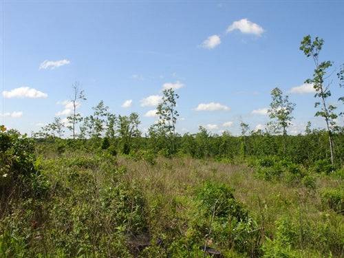 A scenic view of Missouri's Shannon County Antler Ridge 27.57-acre land parcel with trees and natural landscape.
