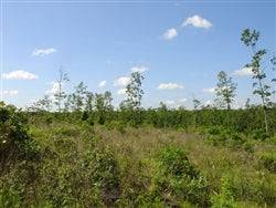 Aerial view of 17.28-acre Antler Ridge property in Shannon County, Missouri, showing wooded land and natural landscape.