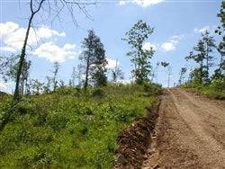 20.35-acre Missouri Shannon County land at Antler Ridge with creek, scenic outdoor property from Onlinelandsales