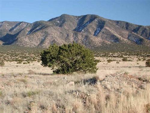 Aerial view of a .25 acre lot in Rio Del Oro, Valencia County, New Mexico, with surrounding landscape and clear skies.