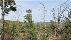 Oklahoma, Pittsburg County, 16.02 Acres Indian Ridge II, Lot 56. TERMS $400/Month
