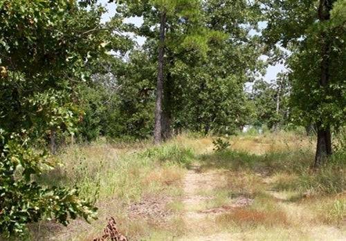 Scenic view of Lake View Private Reserve in Pushmataha County, Oklahoma, showing lush landscape and wooded acreage.