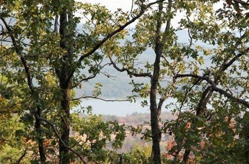 Lake view of Oklahoma Pushmataha County ranch with open land and surrounding trees, showing the 8.36-acre property.