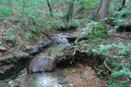 Aerial view of Tennessee Wayne County Sugartree Falls 21.58-acre land parcel, showcasing wooded terrain and natural landscape.