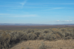 Aerial view of 40-acre Presidio County Texas land in NE1/4NE1/4, Tract 4, Section 9, showing open rural terrain.