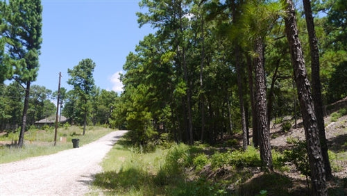 Texas, Bastrop County, 0.25 Acre Tahitian Village Resort, B2, Lot 125. TERMS $490/Month