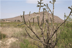 Aerial view of Texas Hudspeth County Sierra Blanca 5.29-acre lot, showing open land and surrounding landscape.