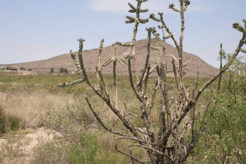Aerial view of Texas Hudspeth County Sierra Blanca 5.29-acre Lot 2, showing open land with distant mountains and clear skies.