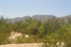 Texas, Hudspeth County, 20 Acre Sunset Ranches, Lot 31 Unit 553. TERMS $459/Month