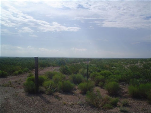 Texas, Reeves County, 80 Acres. TERMS $450/Month