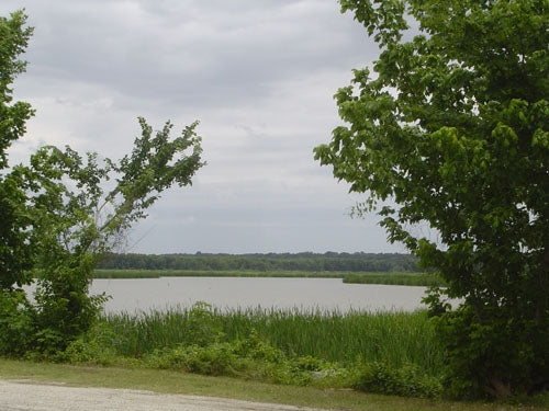 Texas, Trinity County, Trinity Forest. TERMS $75/Month