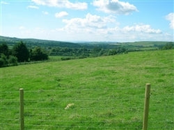 Texas, Cochran County, 1 Acre. CASH $1,250